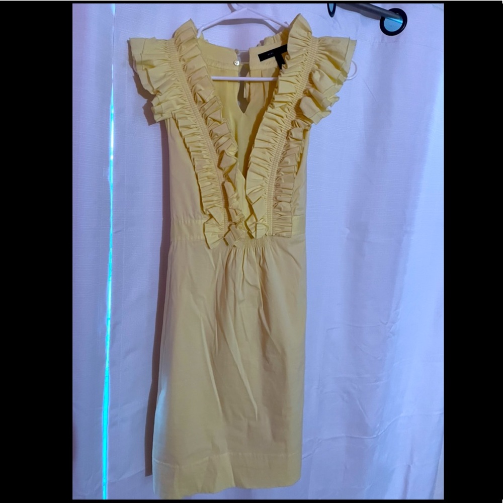BCBG collar dress